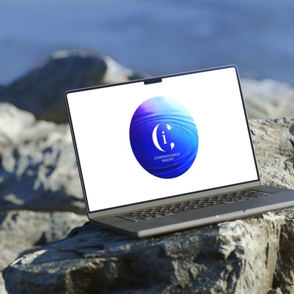 Mint_CI_Laptop_Pro